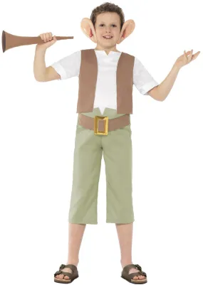 Boys BFG Big Friendly Giant Roald Dahl Fancy Dress Costume