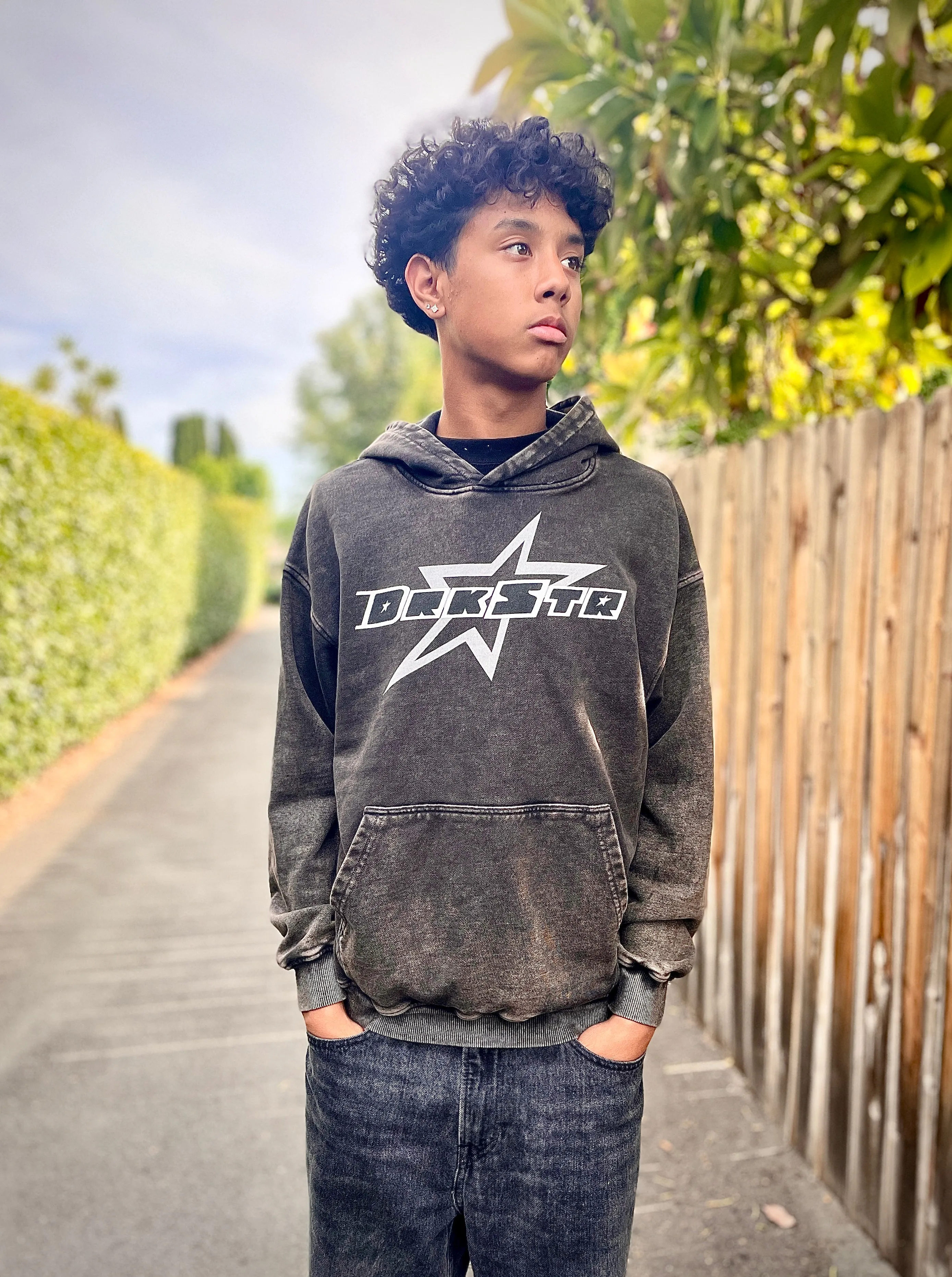 Darkstar Premium Logo Hoodie