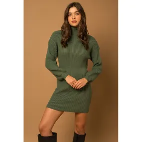 Turtle Neck Balloon Sleeve Sweater Dress